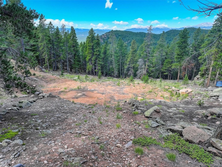 11275 Bear Run Trail, Conifer Mountain & Meadows, CO 80433 - photo 1