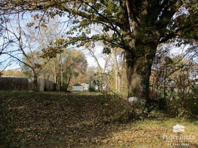 222 Chick St, Council Grove, KS 66846 - photo 1