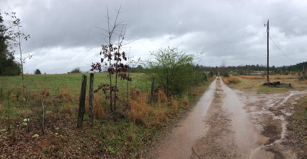 411 Leitner Mill Rd, Harlem, GA 30814 - photo 1