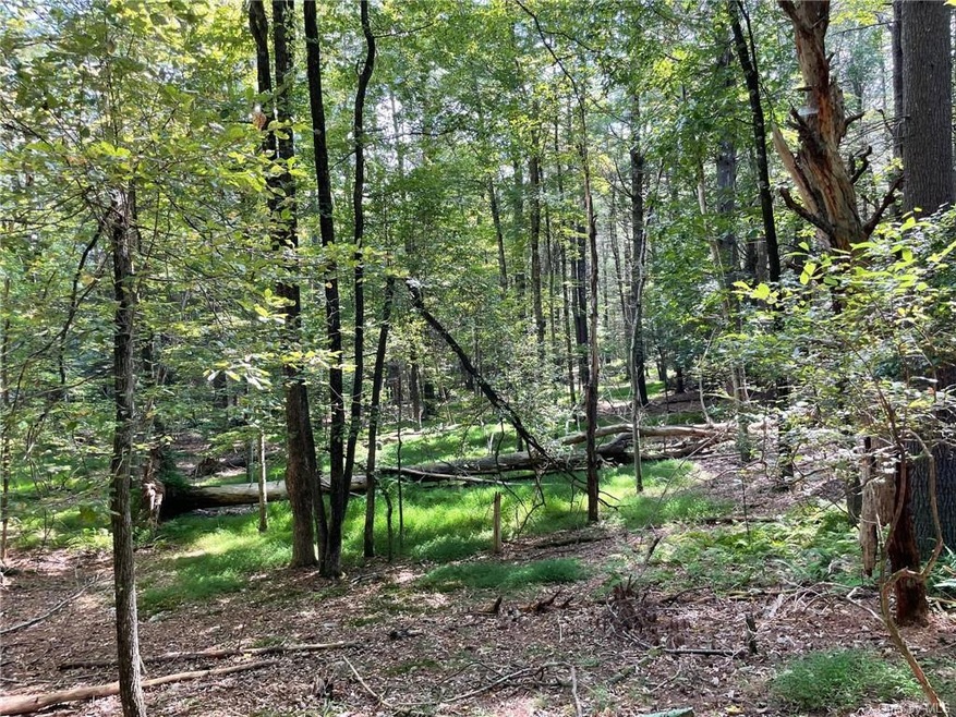 0 Woods Rd unit ONEH6268340, Highland, NY 12719 - photo 1