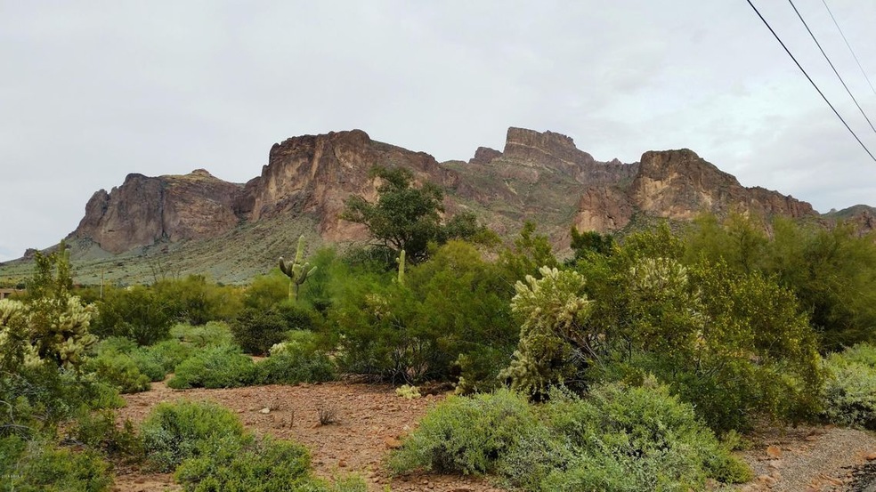 Greasewood mountain view from street