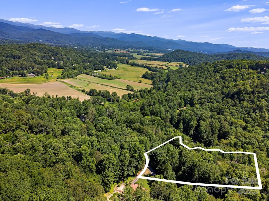 14 Long Branch Rd unit 14, Pisgah Forest, NC 28768 - photo 1