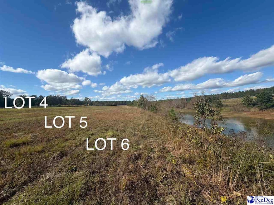 Lot 6 Mallory Beach Rd, Latta, SC 29565 - photo 1