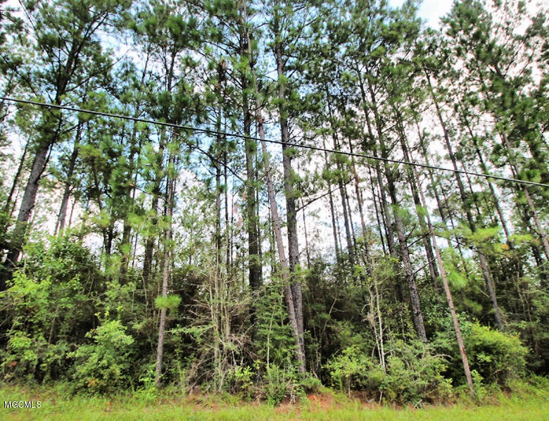 5 Ac. Cedar Ridge Rd, Lucedale, MS 39452 - photo 1