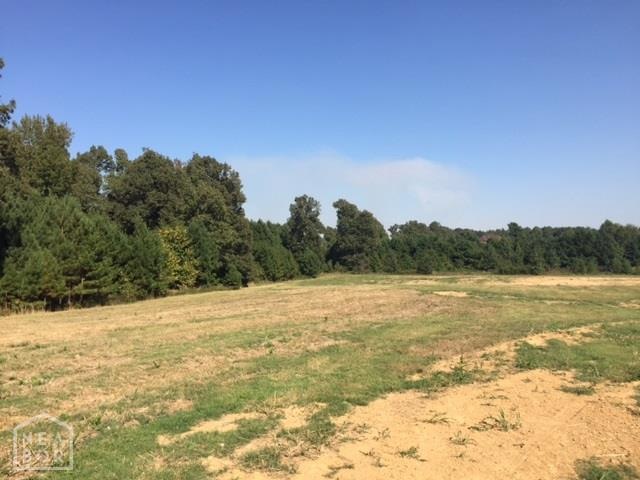 0 Greensboro Rd unit 10066820, Jonesboro, AR 72401 - photo 1