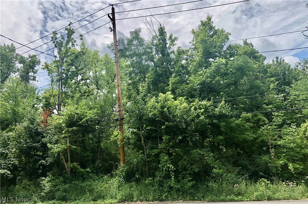 VL Columbia Rd, Olmsted Falls, OH 44138 - photo 1