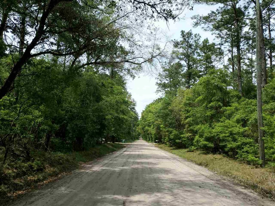 0 Choctaw Rd unit 358394, Crawfordville, FL 32327 - photo 1
