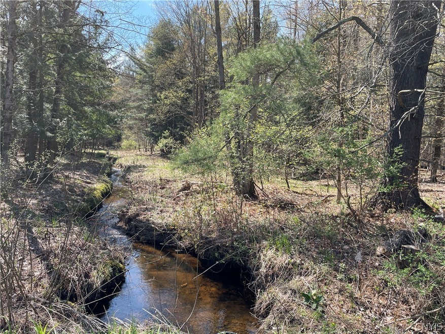 1 of 2 sections of quiant little stream that runs