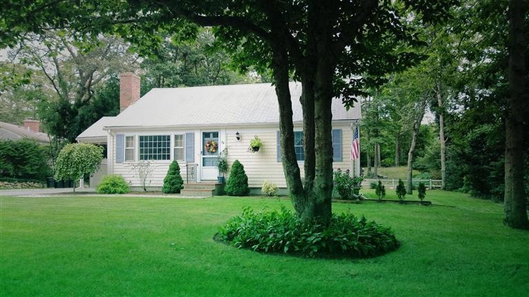 Primary Photo