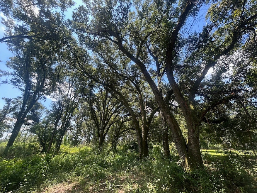 0 Creel Rd unit 23619140, Theodore, AL 36582 - photo 1