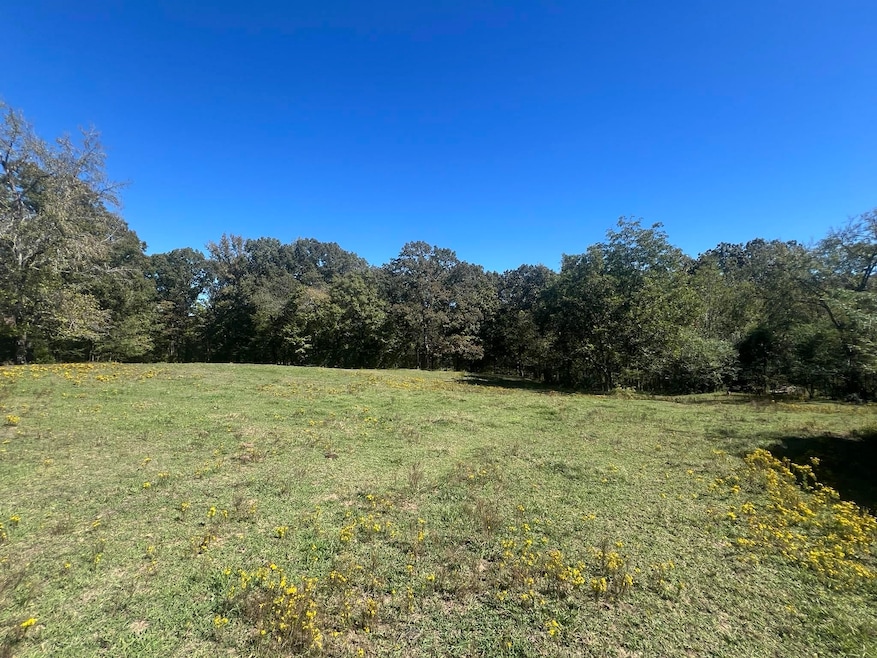 0 Walls Rd, Somerville, TN 38068 - photo 1