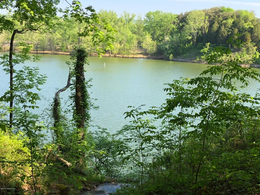 view of lake