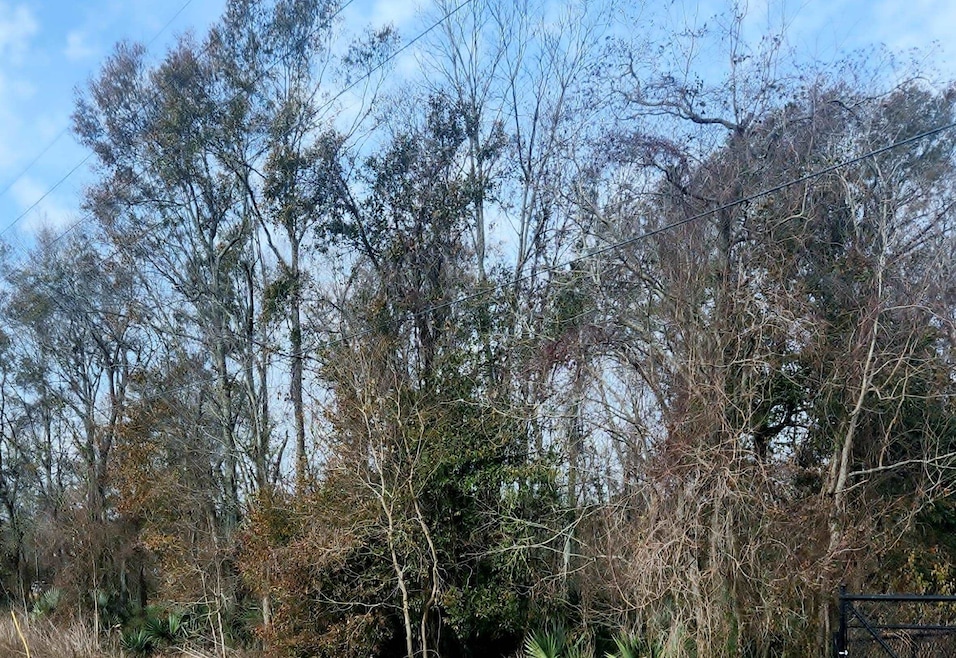 tbd Denver Hurst Rd, Gonzales, LA 70737 - photo 1