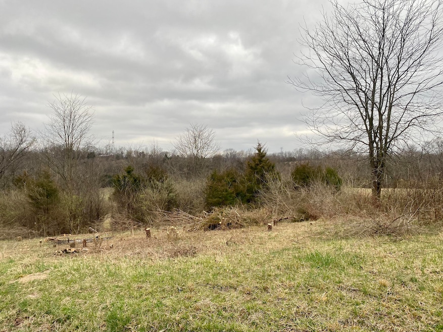 10572 Washington Trace Rd, California, KY 41007- Homes.com