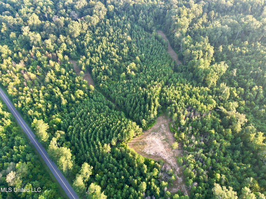 0 John I Hay Rd, Wesson, MS 39191 - photo 1