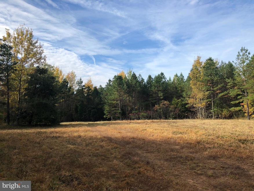 7700 Panier Rd, Spotsylvania, VA 22551 - photo 1