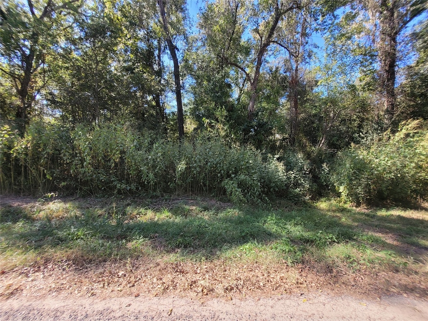 0 Lakeside Dr, Cleveland, TX 77327 - photo 1