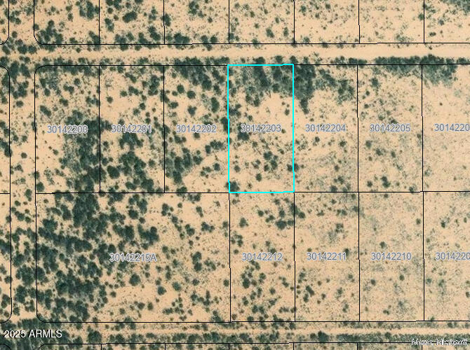 1401 appx E Tamarack Rd, Bowie, AZ 85605 - photo 1