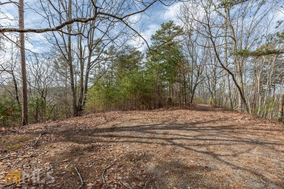 LT 12 Brite Ct, Ranger, GA 30734 - photo 1
