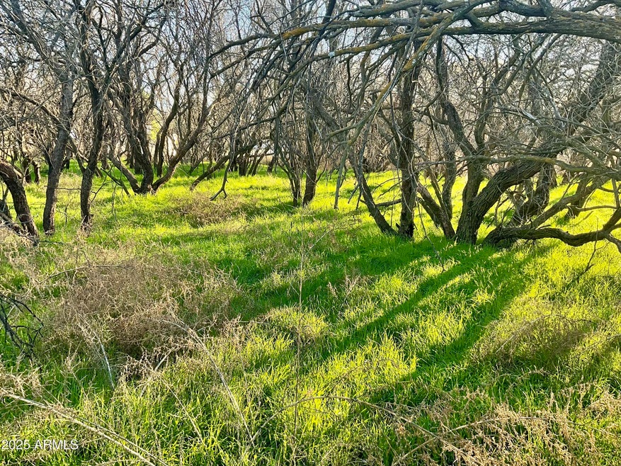 036L Caitlin Ln unit 36L, Cottonwood, AZ 86326 - photo 1