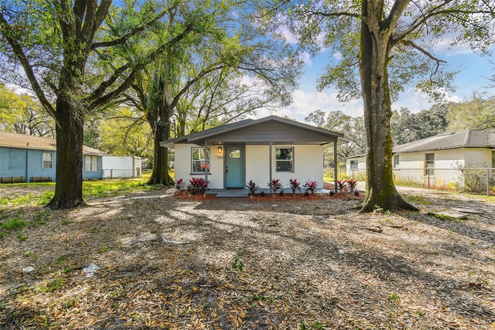 7213 Westinghouse Ave, Tampa, FL 33619 - photo 1