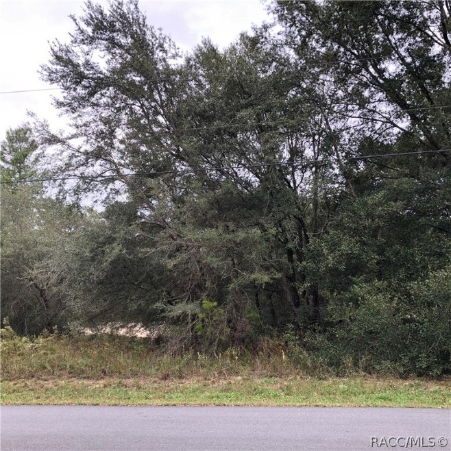 1749 E. Humphrey Lane, Hernando, FL 34442