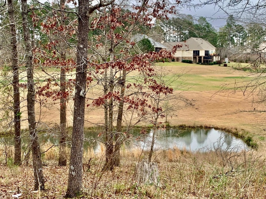 Pond View
