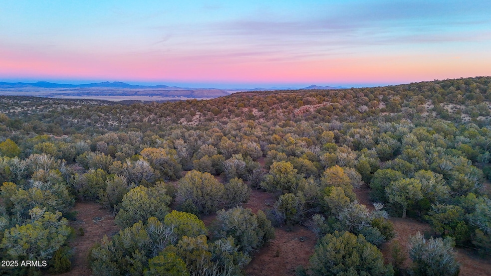 dji_fly_20250108_174414_0818_17364007273