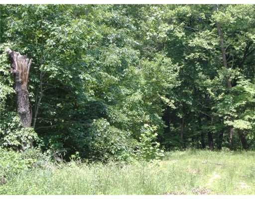 -- Wolverton Ln, Bella Vista, AR 72714 - photo 1