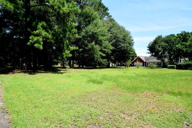 0 Waynesboro Way, Dothan, AL 36305 - photo 1