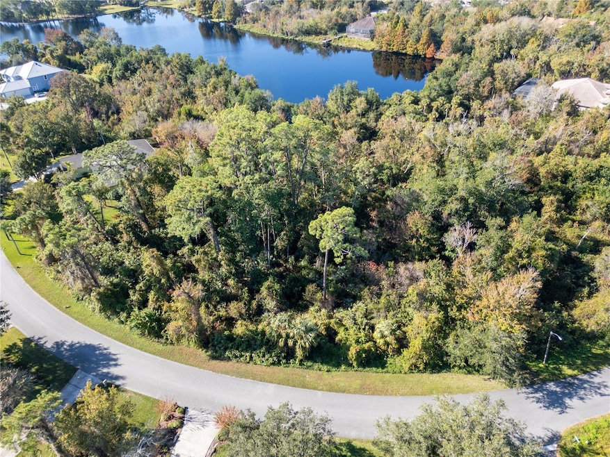 3827 Rambling Acres Dr, Titusville, FL 32796 - photo 1