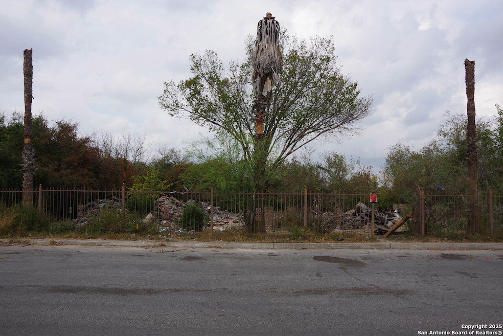 7903 Mocking Bird Ln, San Antonio, TX 78229 - photo 1