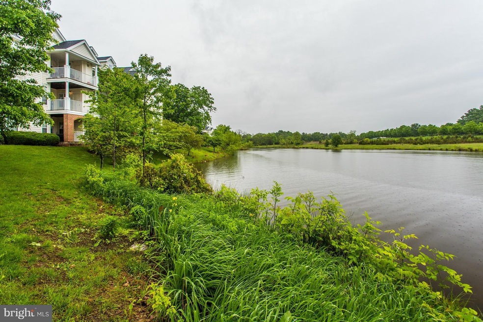 25280 Lake Shore Square unit 203, Chantilly, VA 20152 - photo 1