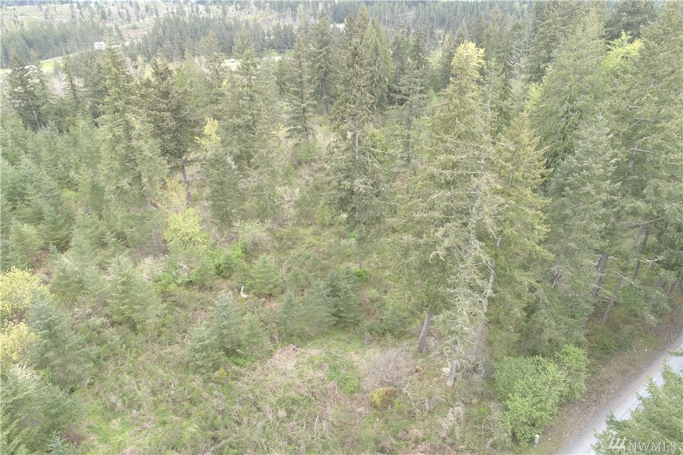 333 Highland Dr E, Roy, WA 98580 - photo 1