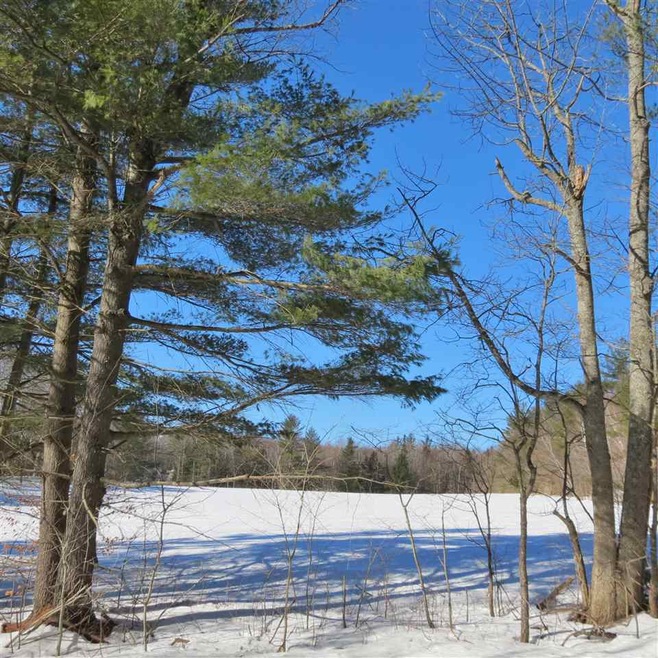 3 Commonwealth Ave, Ludlow, VT 05149 - photo 1