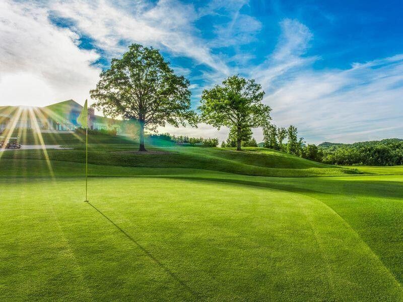 120 Palmer Dr, Branson, MO 65616 - photo 1