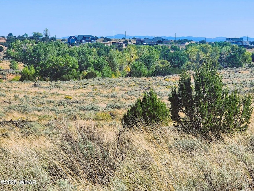 Tumbleweed 3