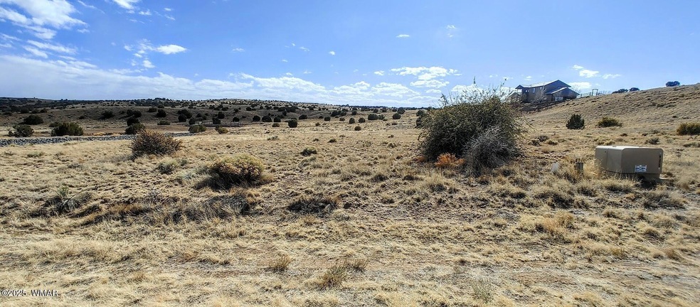 Sold $60,000 • Co-Listing Agent