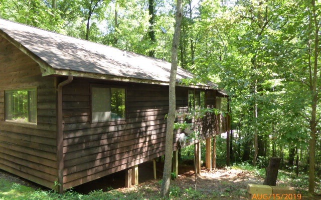 Main View