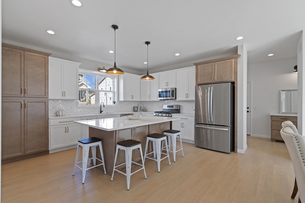 2862 Radicchio Dr, Fitchburg, WI 53711 - photo 1