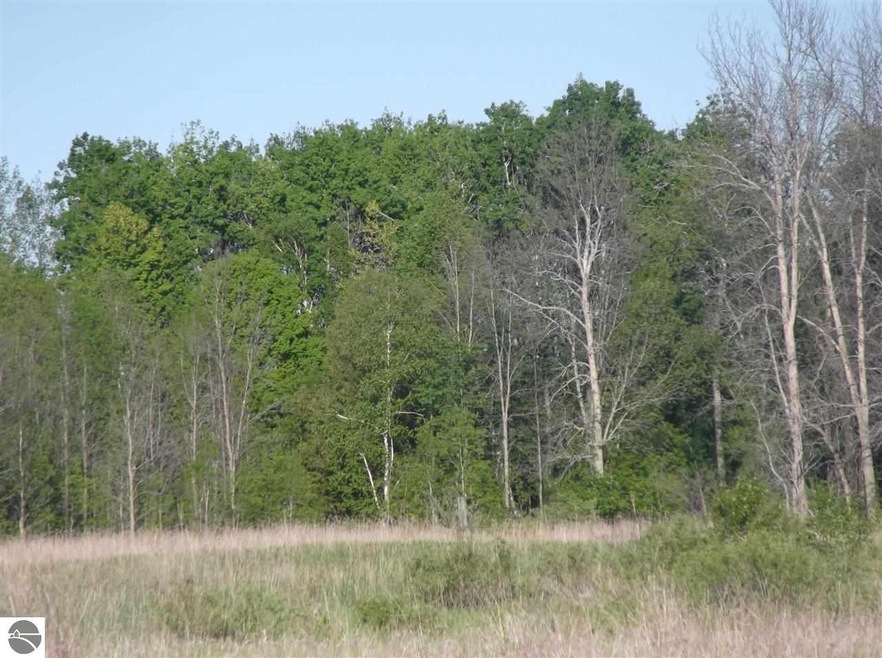 14/15 Wilson Creek Rd, Hale, MI 48739 - photo 1