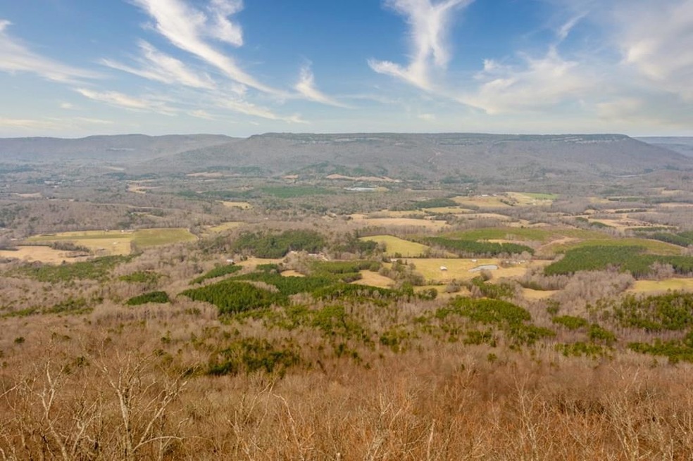 0 Tatum Gulf Rd unit 129648, Menlo, GA 30731 - photo 1