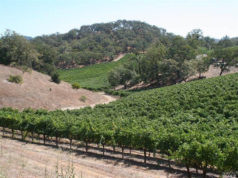 Rolling hills with majestic oaks