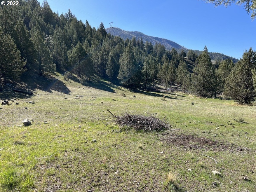 0 Patterson Dr unit 22501178, Canyon City, OR 97820 - photo 1