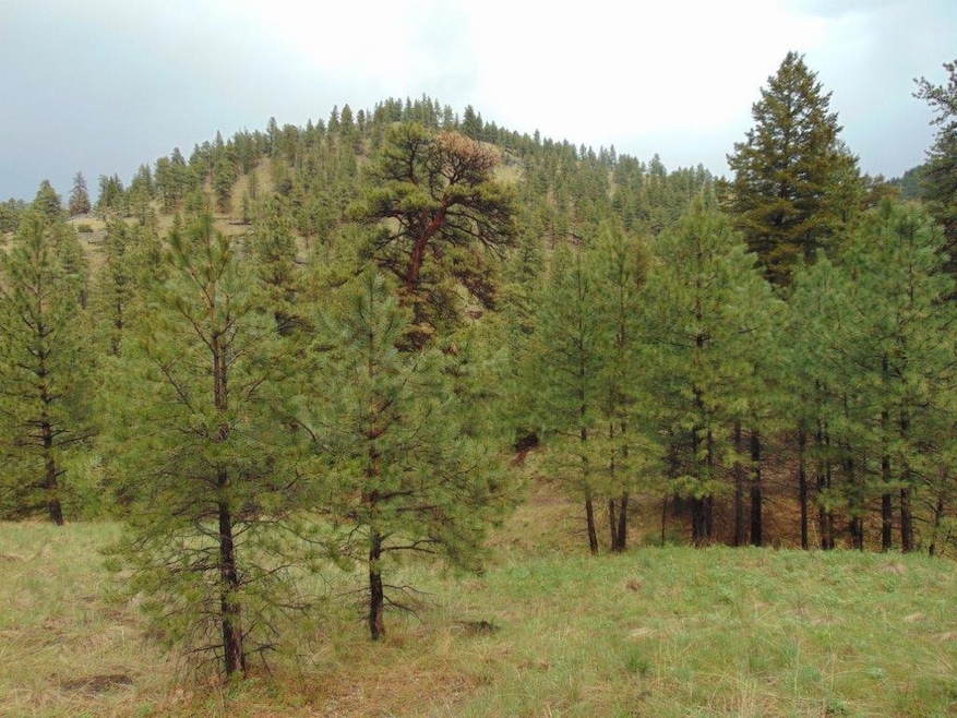 15 Shady Spring Ln, Cascade, MT 59421 - photo 1