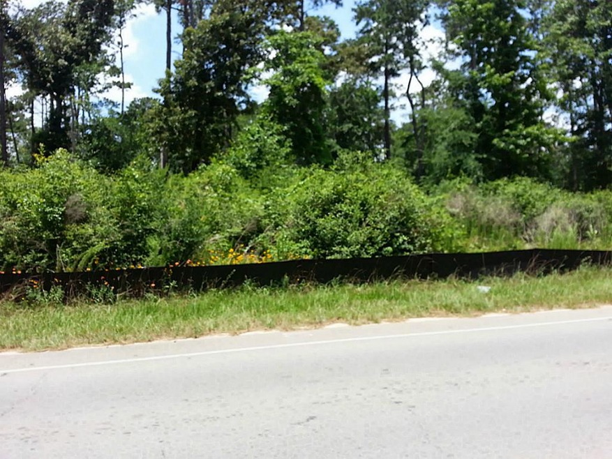 Lot 14,15 Honea Egypt Rd, Magnolia, TX 77354 - photo 1