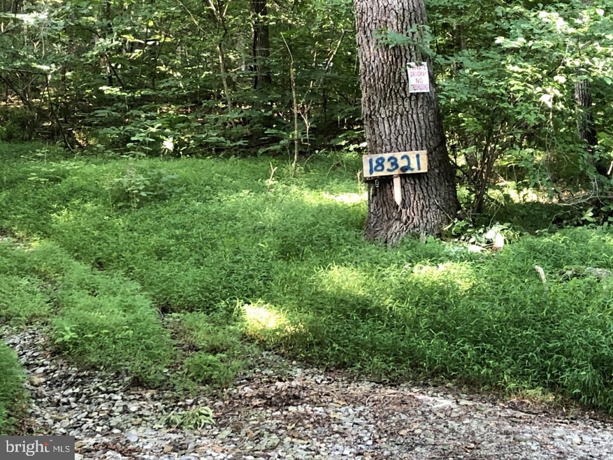 18321 Mount Lock Canal Rd, Sharpsburg, MD 21782 - photo 1