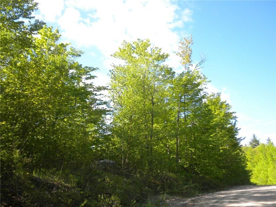 171 Beaver Dam Rd, New Gloucester, ME 04260 - photo 1