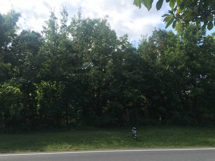 0 All Angels Hill Rd unit ONEHM365126, Wappinger, NY 12533 - photo 1