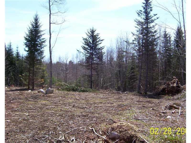 Land/Lot.